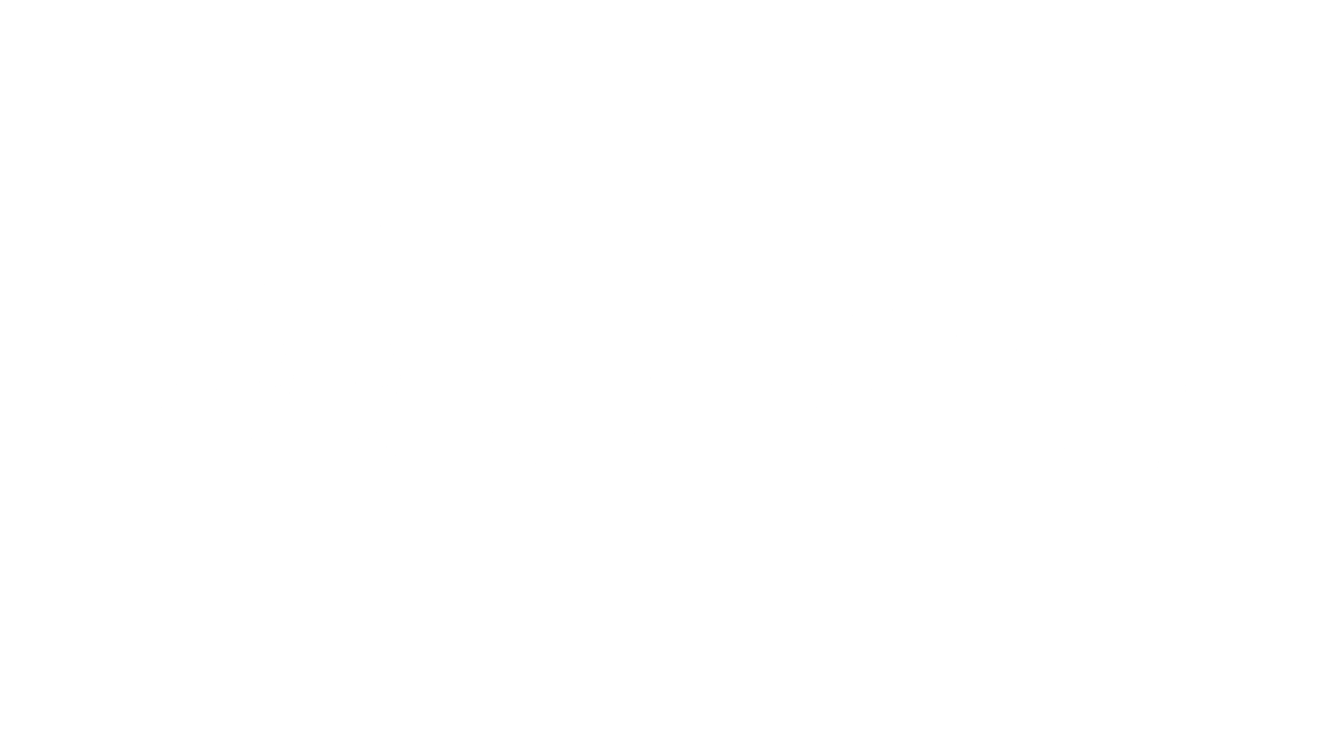 The Wooked Witch Logo